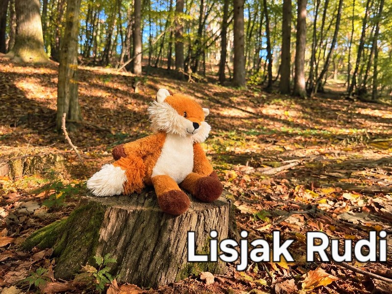 Rudi z Igralčki