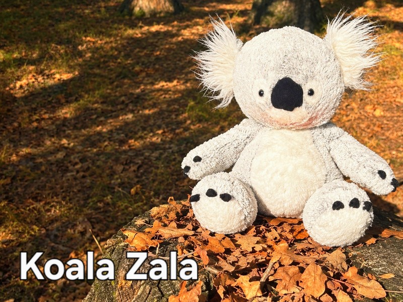 Zala s Sončki...