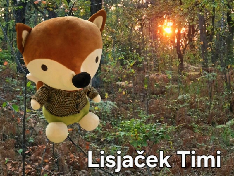 Timi z Ringarajčki